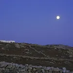 Halara *